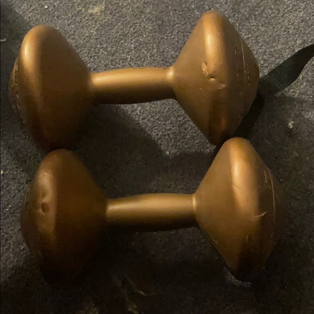 6.6lb weights